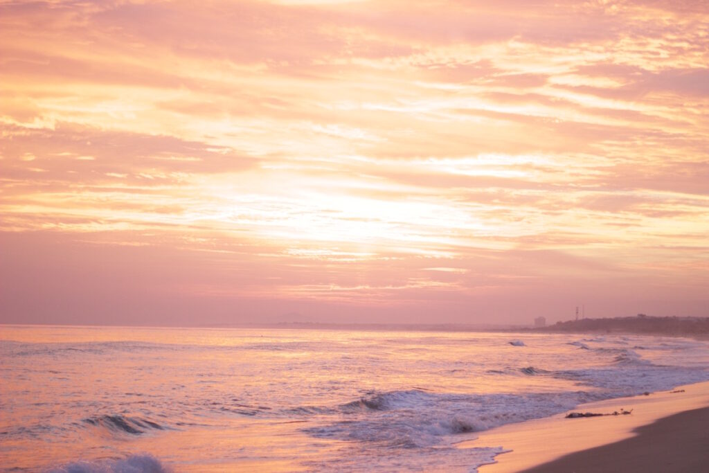beautiful freedom after breaking the silence on abuse